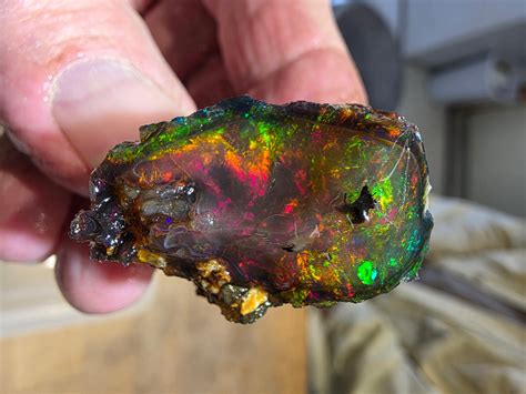 Rainbow Ridge Opal Mines | Denio NV