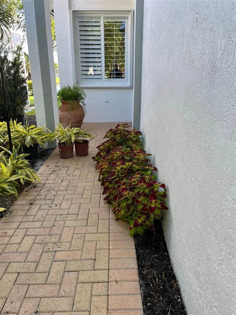 Landscaping & Lawn Care in West Palm Beach, FL | Green Earth Landscap
