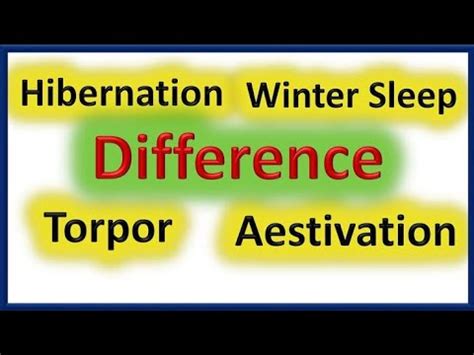 Difference Between Hibernation Winter Sleep Torpor And Aestivation