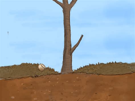 bare root tree 10