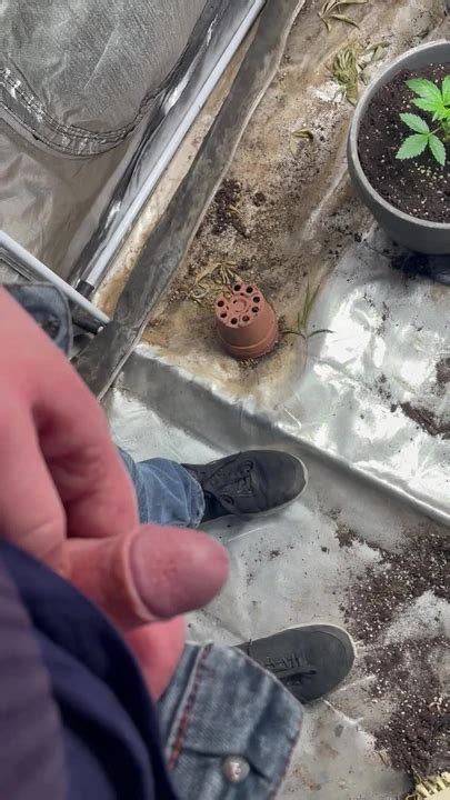 V Deos Gay De Porno Voyeur Xhamster