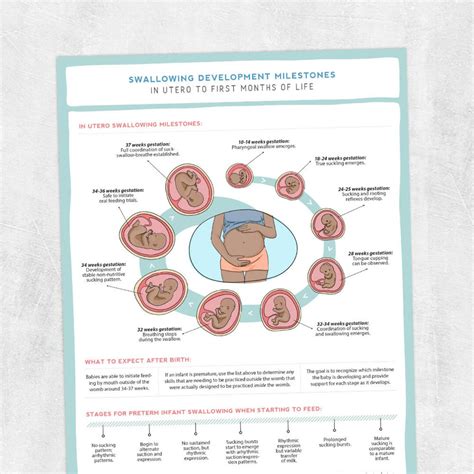 Printable Resource Swallowing Development Milestones In Etsy