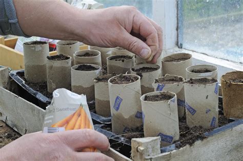 Making Seedling Pots From Cardboard Toilet Paper Rolls