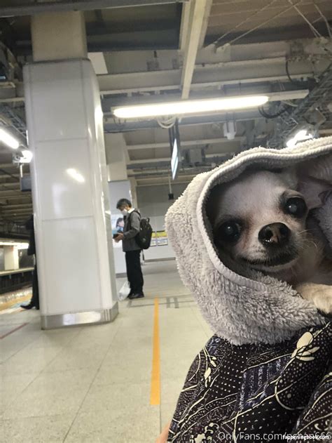 Pchan666 P Chan Pchan030 Nude OnlyFans Leaks Fappening FappeningBook