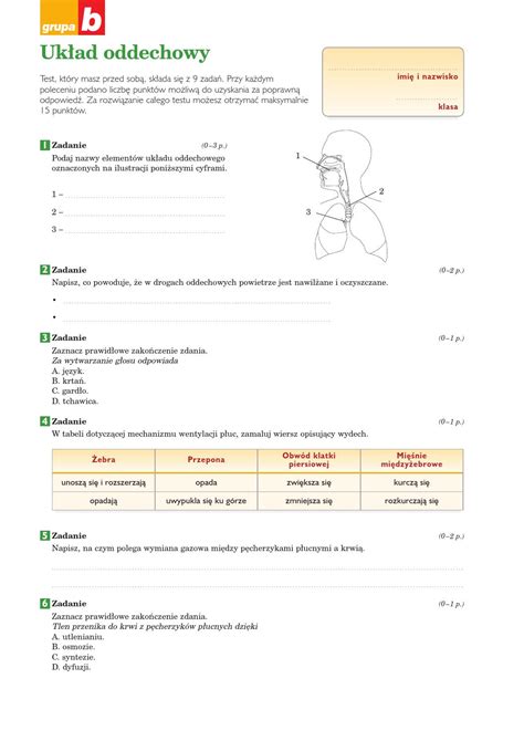 Układ Krwionośny Sprawdzian Klasa 7 Nowa Era Margaret Wiegel