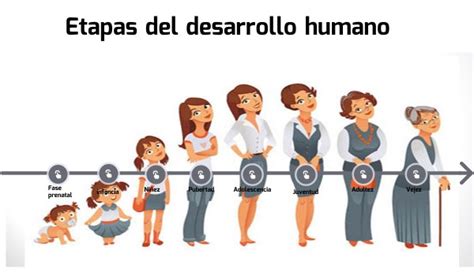 Etapas Del Desarrollo Humano