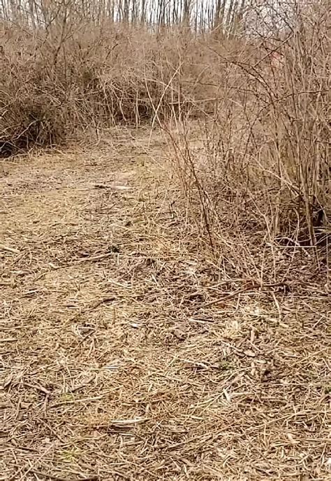 Watch My Ass Bounce While I Run Naked Gay Amateur Porn Feat Nakedrunner XHamster