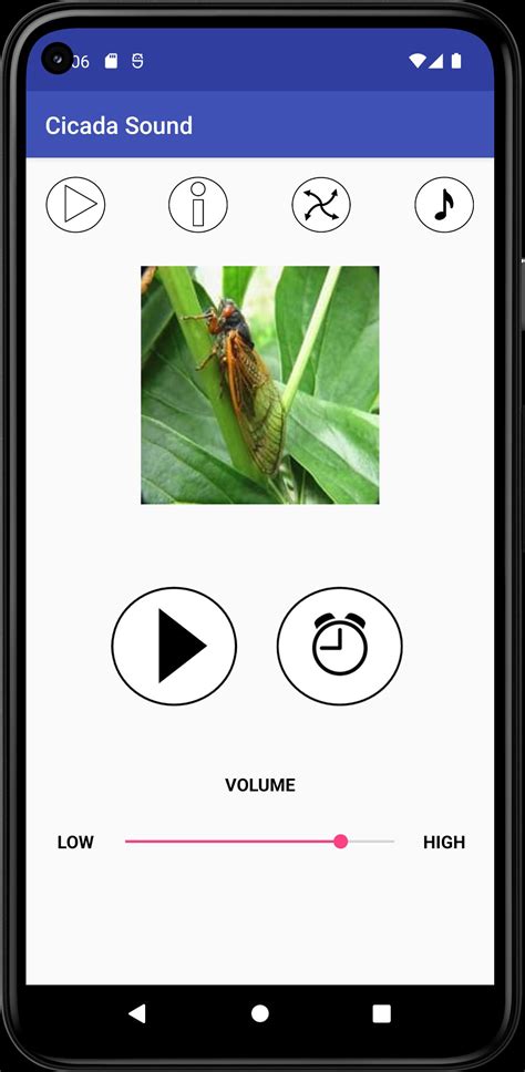 Cicada Sounds APK for Android Download