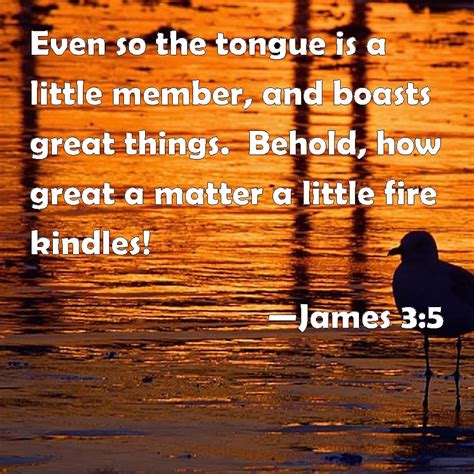 James 35 Even So The Tongue Is A Little Member And Boasts Great