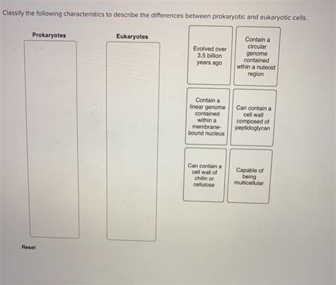 Solved Classify The Following Characteristics To Describe Chegg