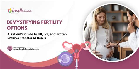 Demystifying Fertility Options A Patients Guide To Iui Ivf And Fet At Healix Hospitals By