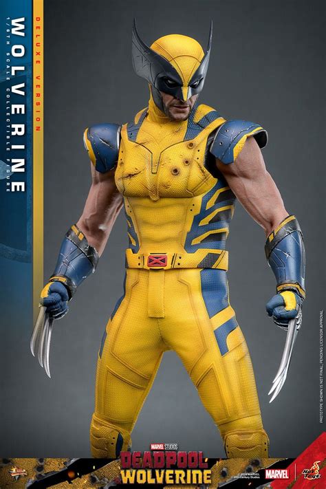 Wolverine Hot Toys Movie Masterpiece Deluxe Figure 1 6