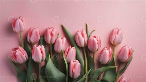 A pink tulips bouquet on pastel pink background with copyspace 24848076 Stock Photo at Vecteezy