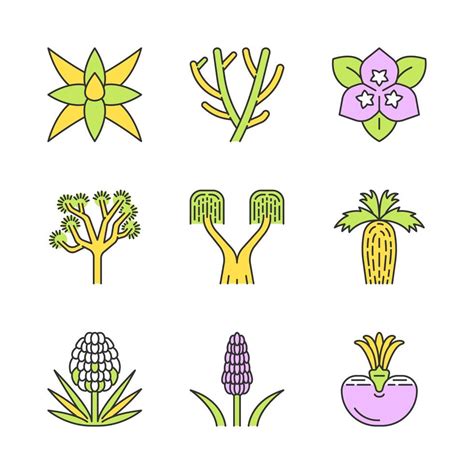 Desert Plants Color Icons Set Exotic Flora Yuccas Cacti Palms