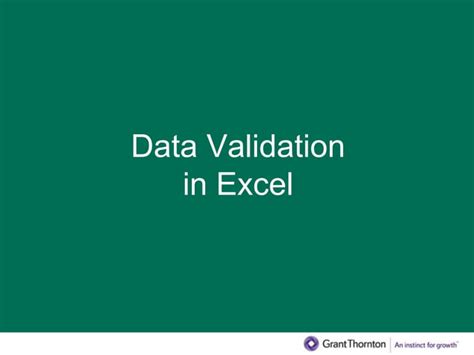 Excel Presentation Data Validation Ppt