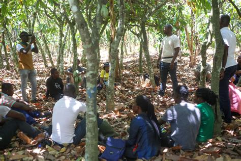 Project Profile Enhancing Cocoa Farmer Livelihoods With Hershey In