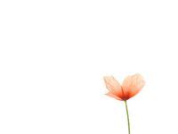 Ideas De Fondos Nude Para Guardar Hoy Decoraci N De Unas Iphone Fondos De Pantalla Ideas