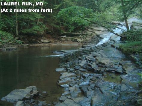 Maryland Swimming Holes And Hot Springs Rivers Creek