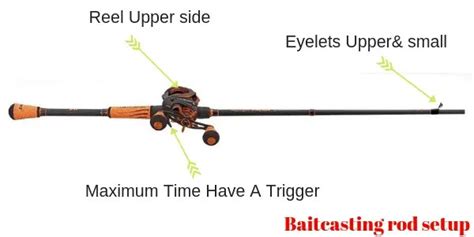 Baitcaster vs Spinning Reel with Pros and Cons [Buying guide]