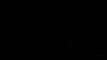 Nayk GIF - Nayk - Discover & Share GIFs