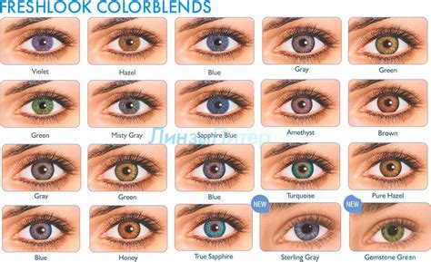 Купить линзы FreshLook ColorBlends (одна пара линз) за 815 руб. в Санкт ...