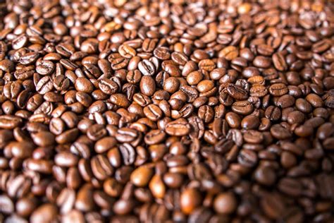 Free Images Aroma Cappuccino Food Produce Crop Brown Drink Espresso Close Up Caffeine