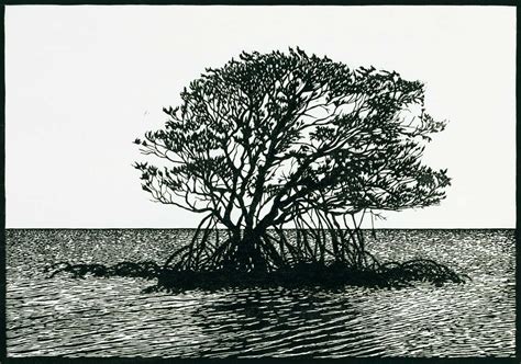 Linocuts Of Australian Landscape Trees And Water — Rachel Newling