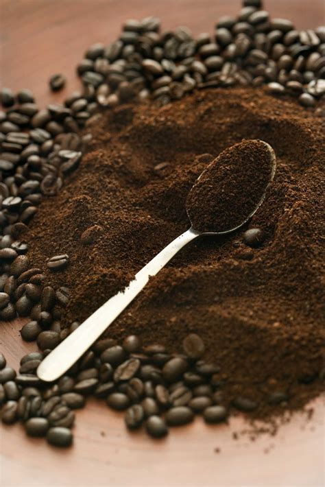 Do Coffee Grounds Keep Moles Away at Abbey Battye blog