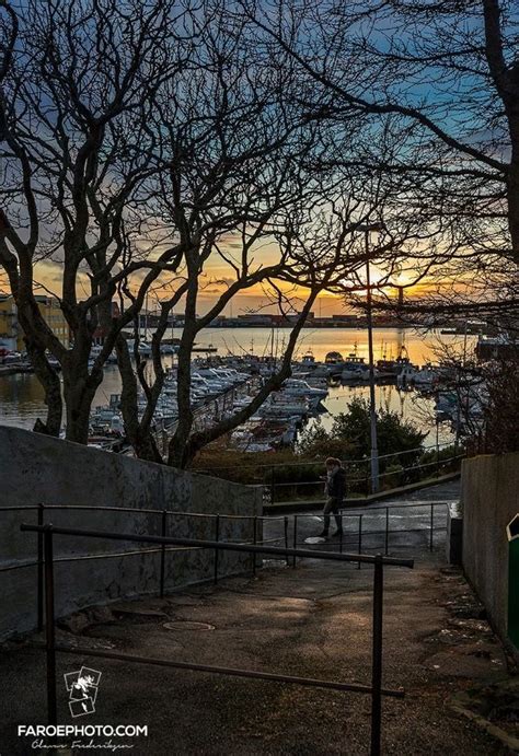 The Sun Is Setting Over A Harbor With Boats In The Water And Trees On