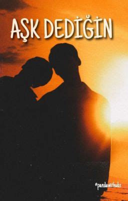 Aşk Dediğin Gay Wattpad