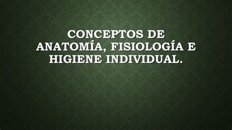 SOLUTION Anatomia Fisiologia E Higiene Studypool