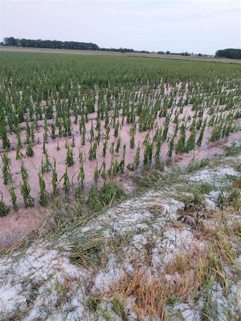 Da Piossasco Ad Airasca Il Maltempo Mette In Ginocchio Gli Agricoltori