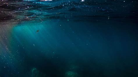 Thalassophobia: Do You Fear the Deep Ocean? — More Fears & Phobias ...