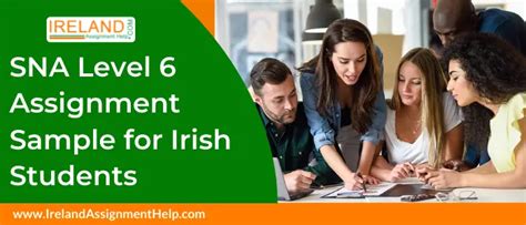Learner Record Sample Sna Ireland Special Needs Assisting Example