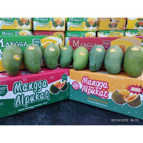 Jual Mangga Alpukat Bangil Muria 1 Dus 5kg TUA POHON Shopee Indonesia