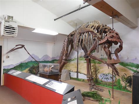 "Anatotitan copei" Fossil | Unearthed in 1938 in Carter Coun… | Flickr