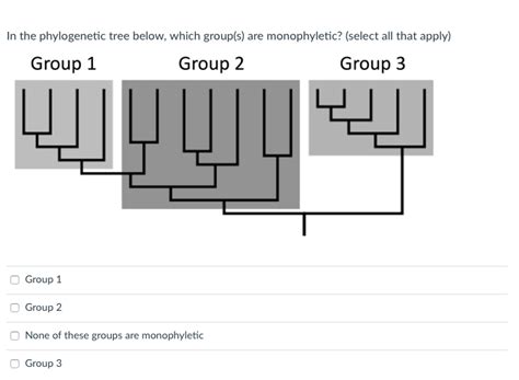 Solved In the phylogenetic tree below, which group(s) are | Chegg.com
