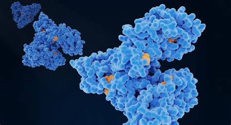 Multiplex measurement of proinflammatory cytokines in human serum ...