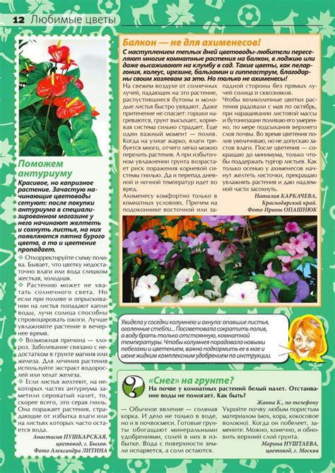 Сваты №8 апрель 2022 читать журнал онлайн бесплатно