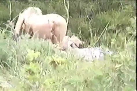 Fuck In Canyon Public Nudity Hardcore Porn Xhamster