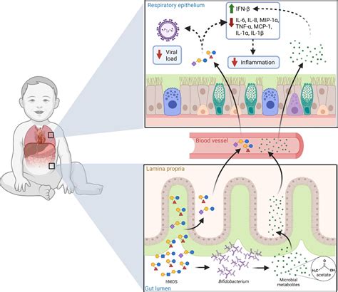 Breast milk’s secret weapon against RSV revealed in new study