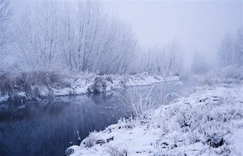 winter  stock photo public domain pictures