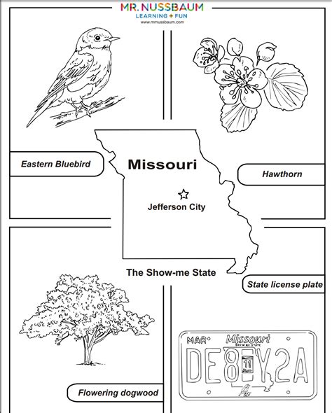 Missouri State Flower Coloring Page Coloring Pages