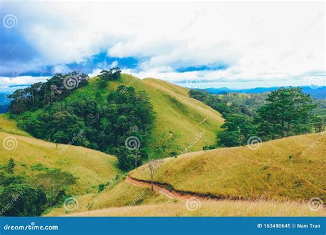 Beautiful Grass Hill In Old Forest In Ta Nang Lam Dong Vietnam Stock Image Image Of Grass