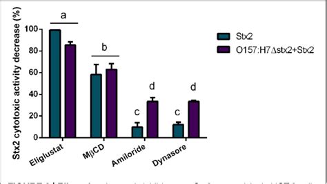 Figure 1 From Endocytosis Cytotoxicity And Translocation Of Shiga Toxin 2 Are Stimulated By