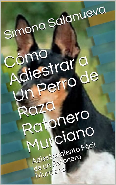 Cómo Adiestrar a Un Perro de Raza Ratonero Murciano Adiestramiento