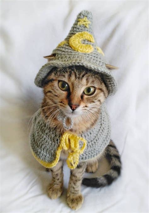 Wizard costume for cat, Wizard hat for cat, Wizard Pet costume in 2021 ...