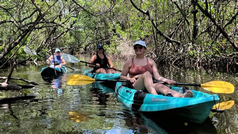 Private Kayak Tours Anna Maria Island Sunset Kayaking Bradenton