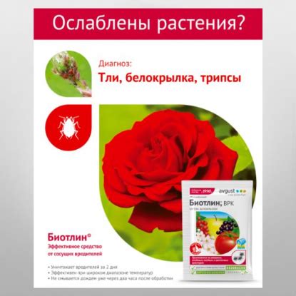 Средство от комплекса вредителей Пиноцид, 2 мл купить в Москве ...