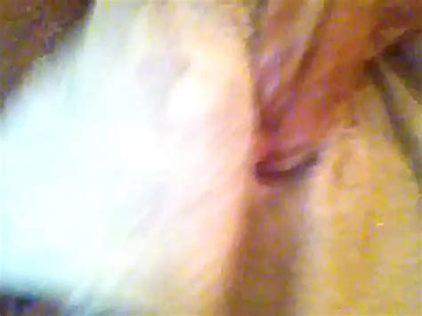 Giving The Most Valuable Possession A Bath And Workout XVIDEOS